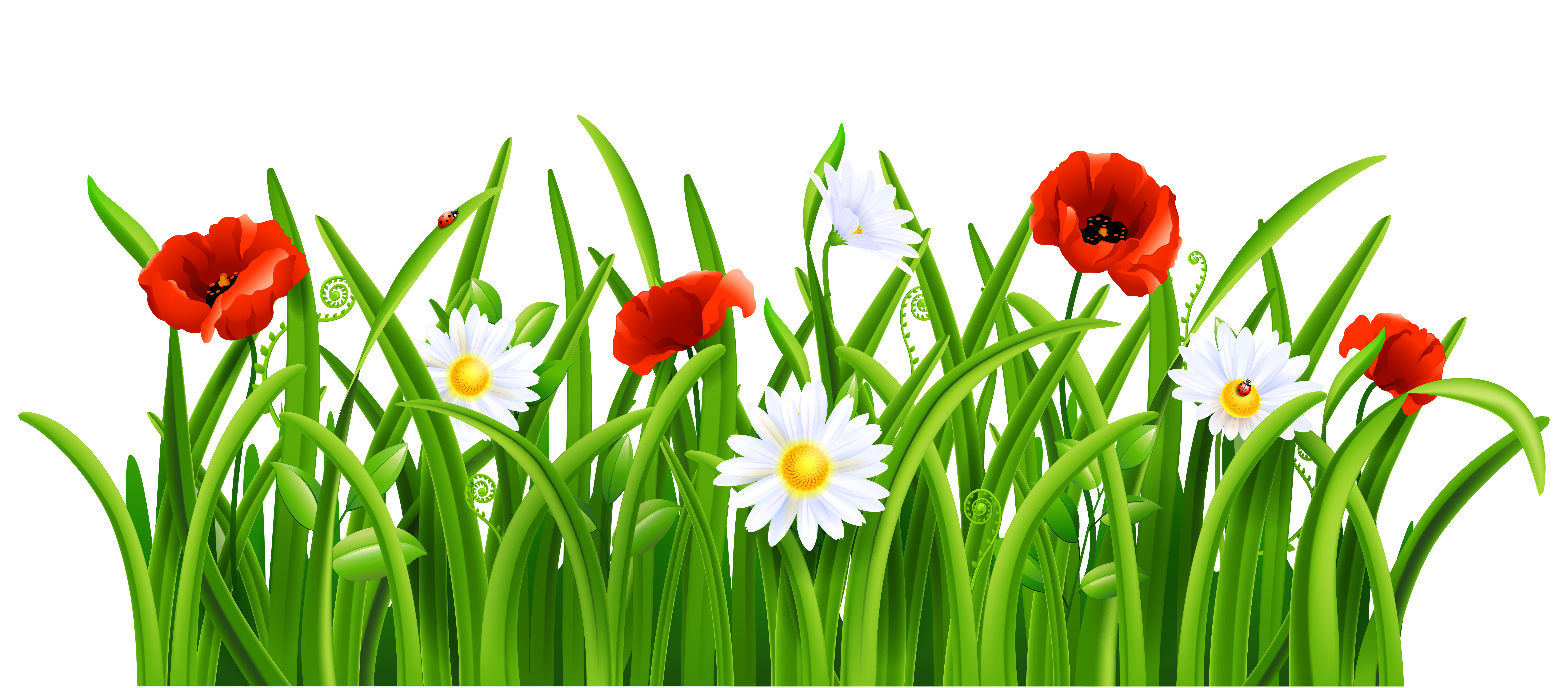 Grass And Flower Png Clip Art Library