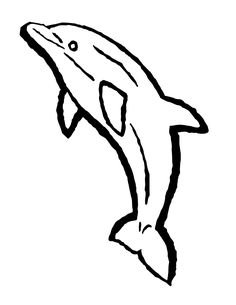 Dolphin Outline Clip Art 