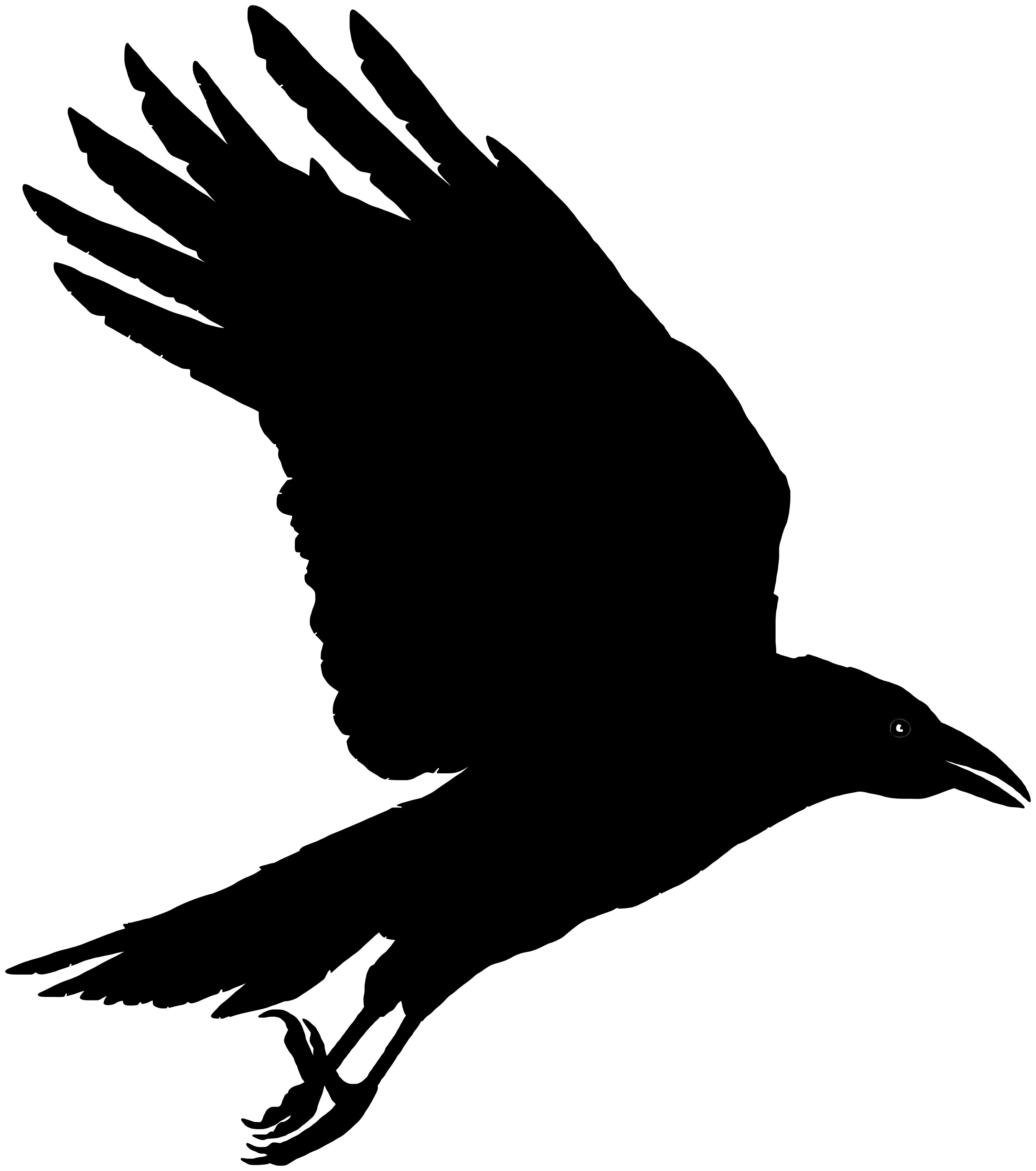 crow silhouette