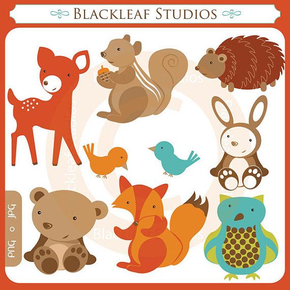 Free Forest Animal Cliparts, Download Free Forest Animal Cliparts Png 