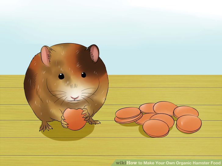 How to Make Your Own Organic Hamster Food: 10 Steps 