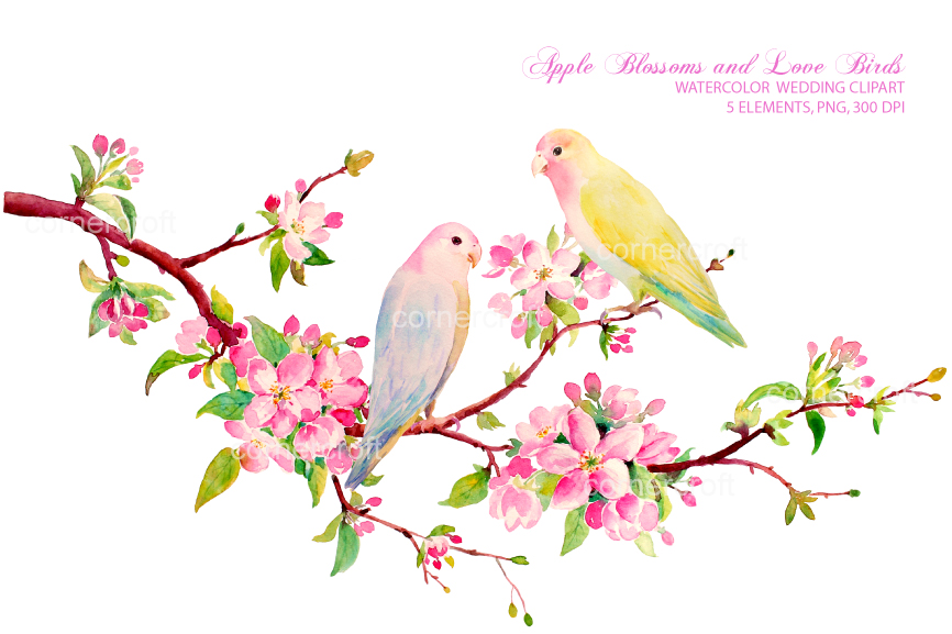 apple blossom clip art free - photo #35