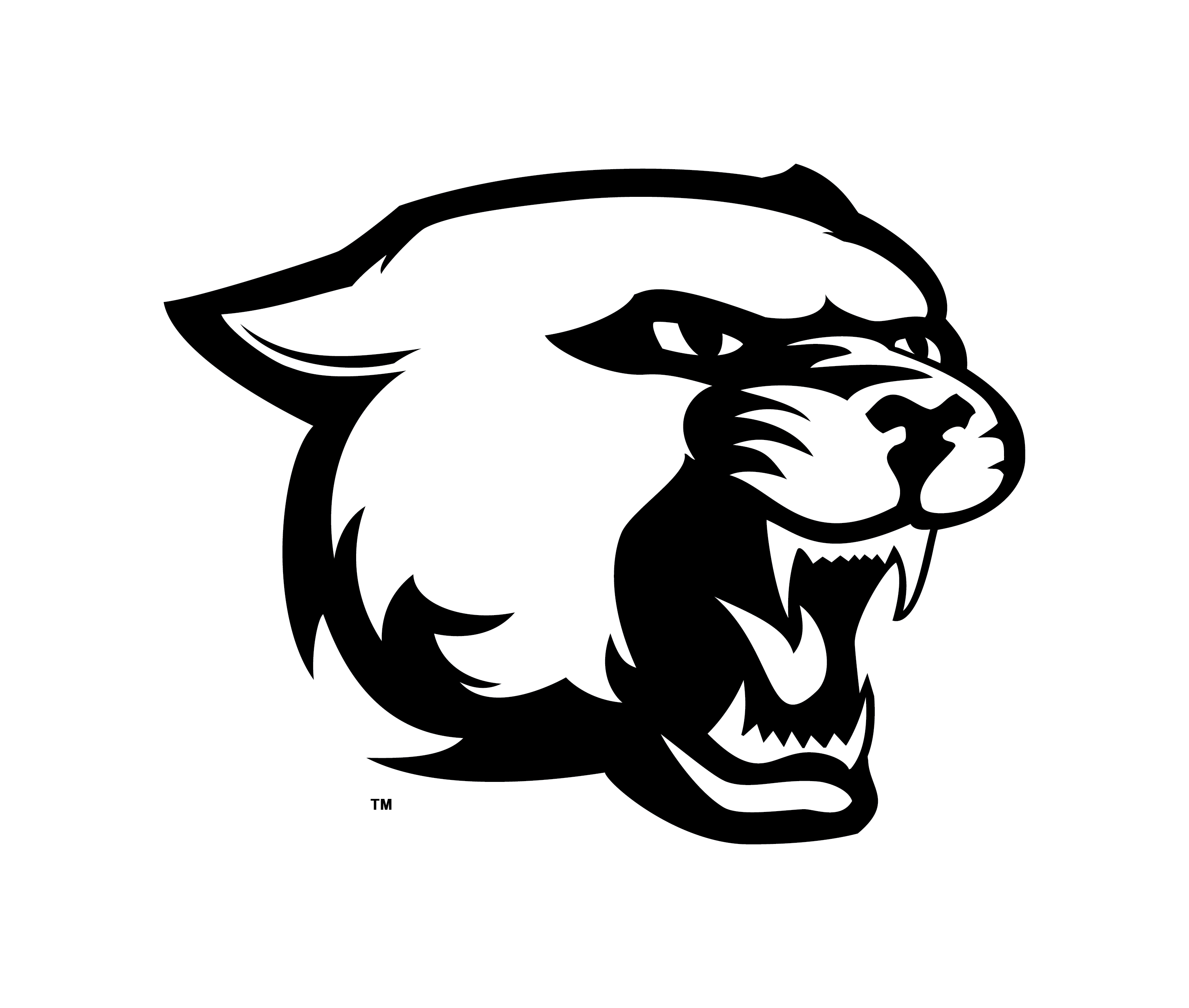 Free Panther Head Clipart Image 