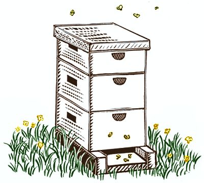 Beehive Box Cartoon 