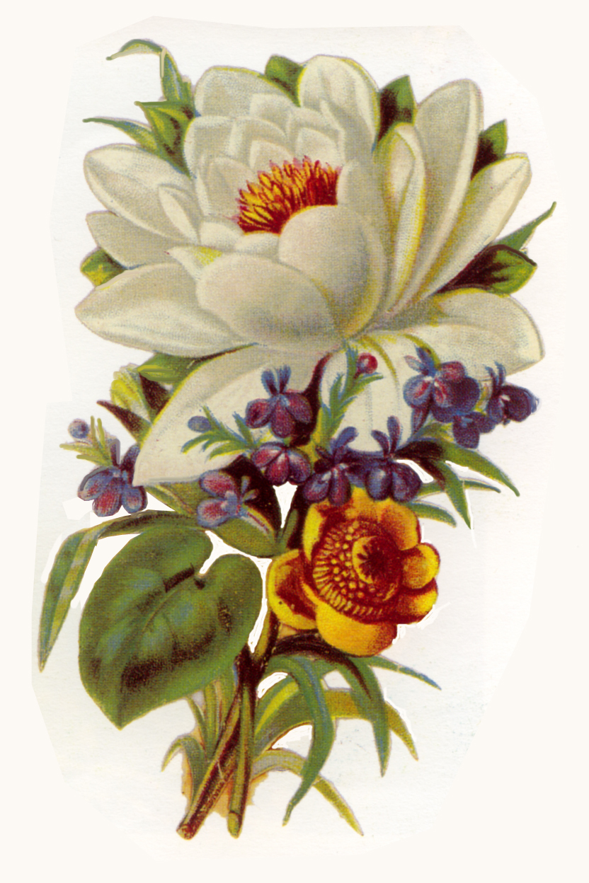 Flowers Vintage Clipart 