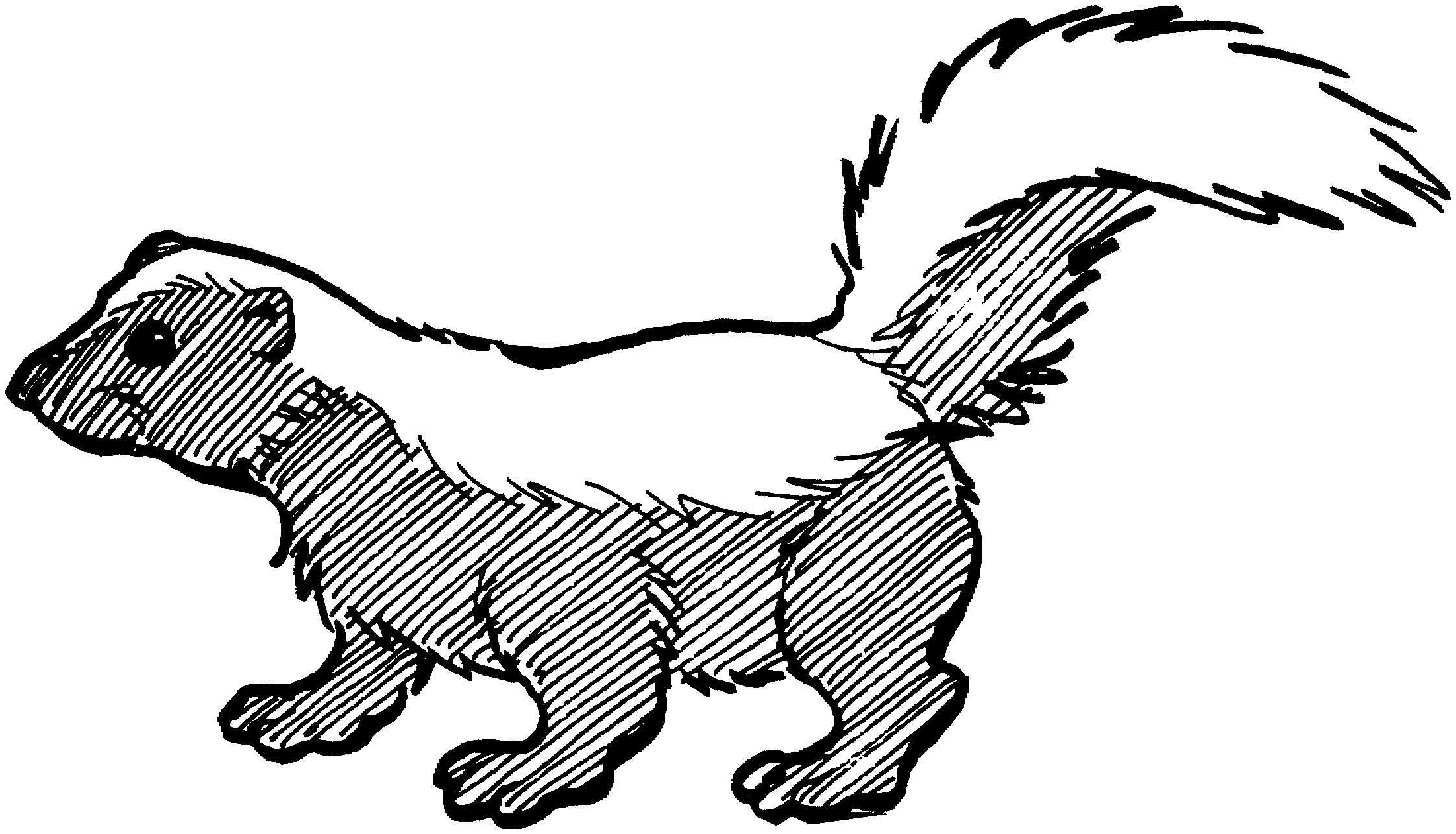 Cute black and white skunk clipart 