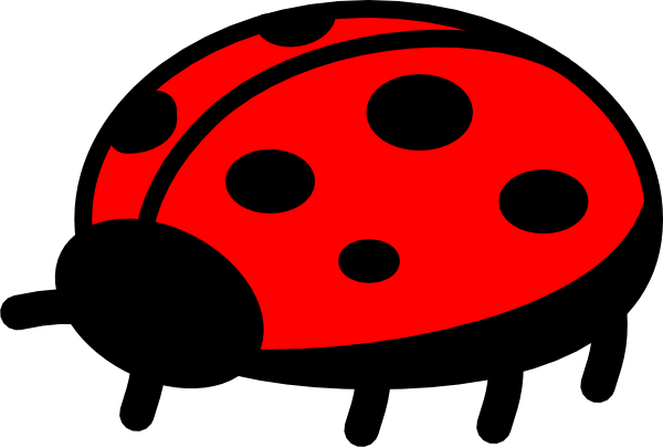 Animated ladybug clipart 