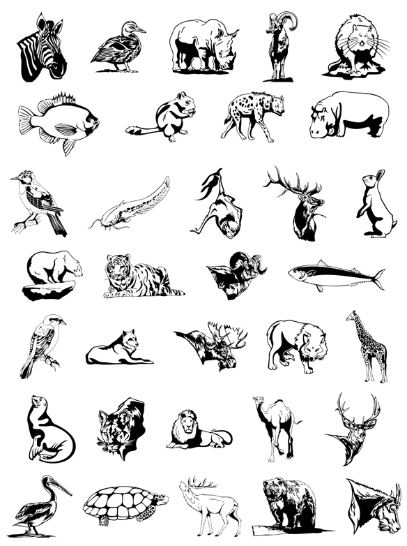 animal images in black and white - Clip Art Library