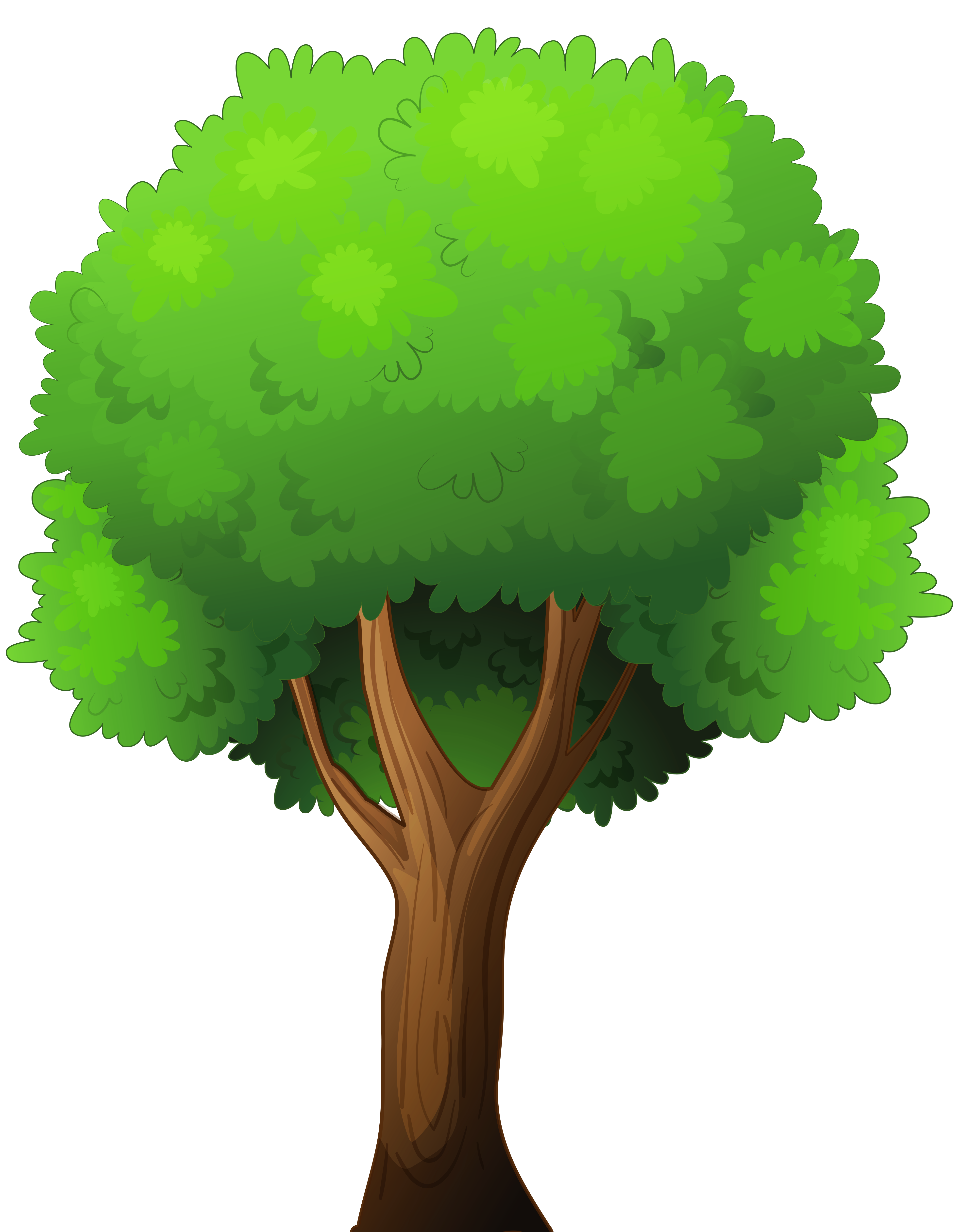 Tree Clipart  Tree Clip Art Image 