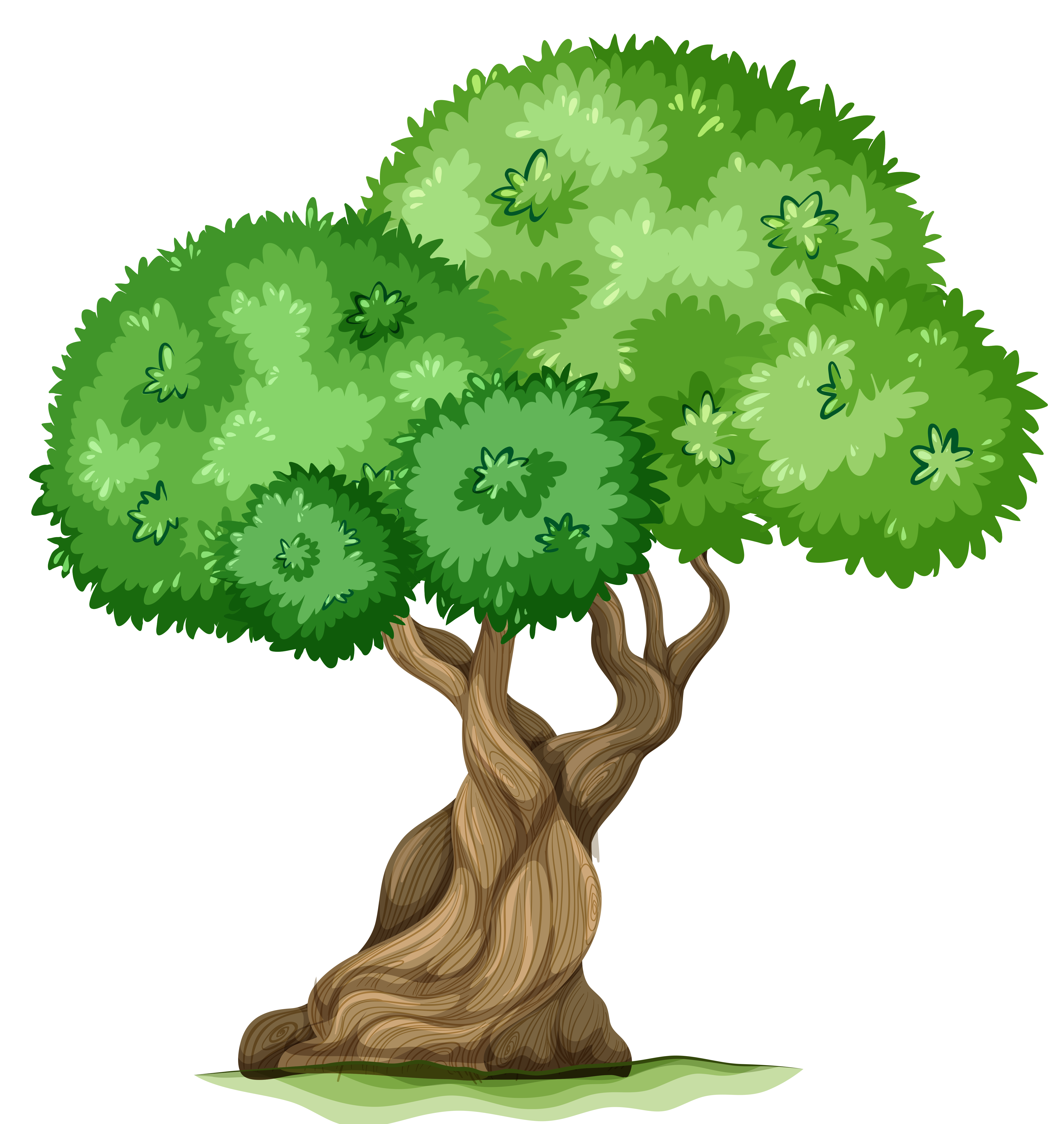 Tree Clipart  Tree Clip Art Image 