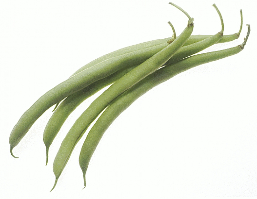Clipart green beans 