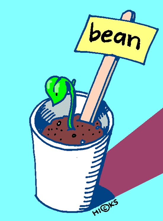 Green bean sprout clipart 