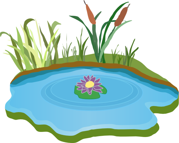 Free Fish Pond Cliparts, Download Free Fish Pond Cliparts png images