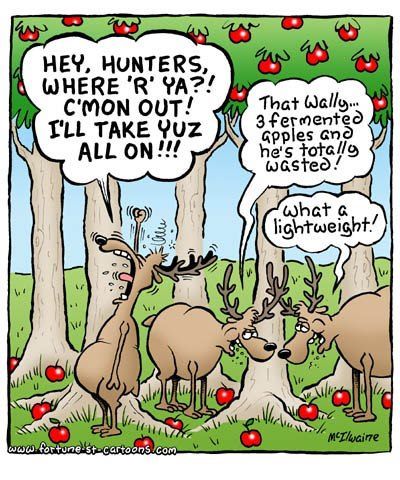 deer hunting cartoon jokes - Clip Art Library