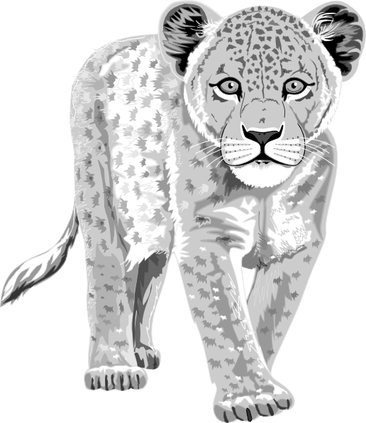 Baby snow leopard clipart 