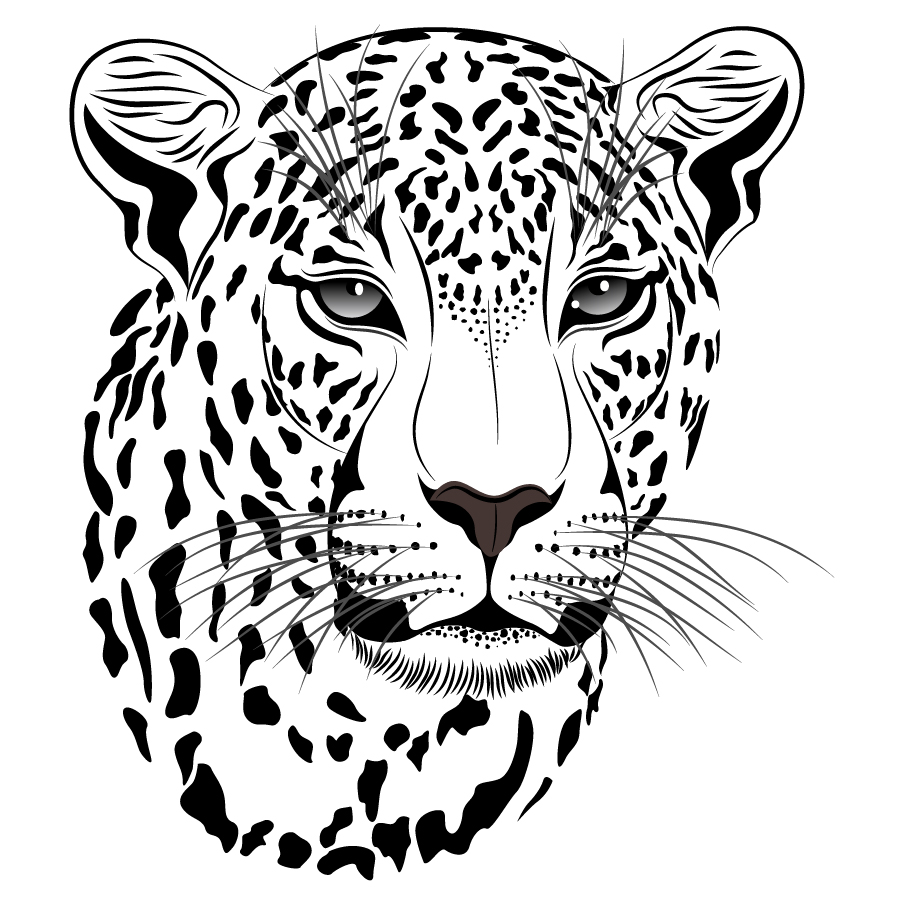 Black and White Couple Leopard Clipart 
