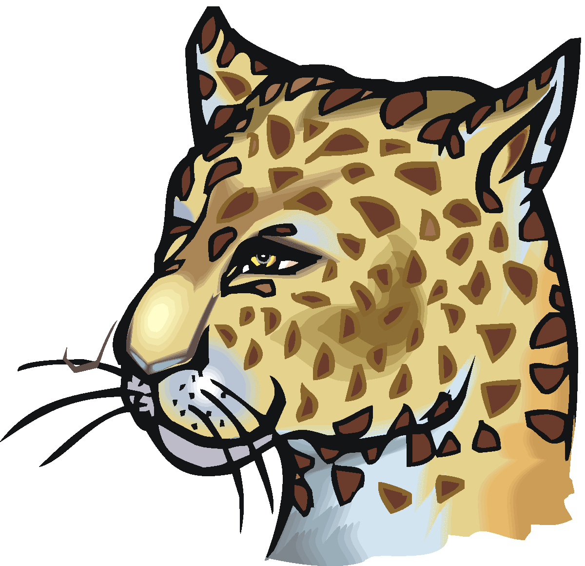 Snow Leopard Clipart 