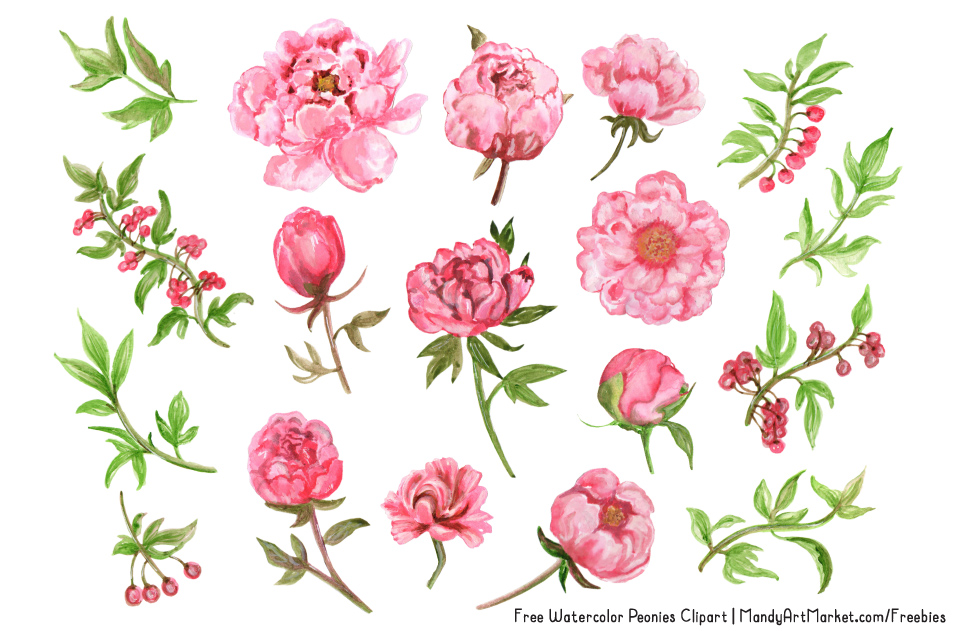 Free Peonies Flower Cliparts, Download Free Peonies Flower Cliparts png