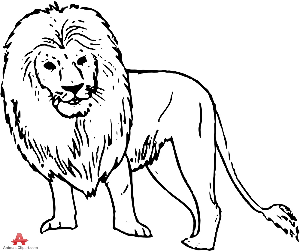Outline Lion Vector Drawing 
