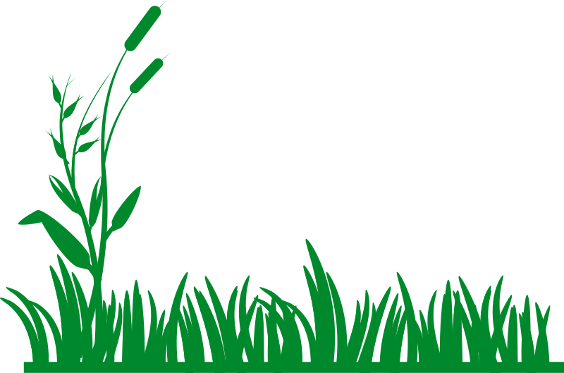 Grass Field Clipart 