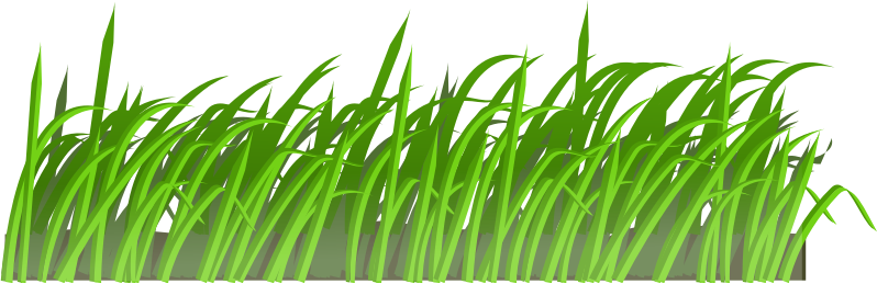 Cartoon Grass Texture 
