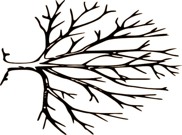 Black and white tree branches clip art 