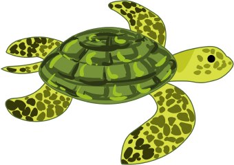 Turtle Clipart 