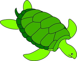 Cartoon Sea Turtle Clipart 