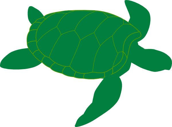 Sea turtles printable clipart 