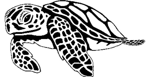 Sea Turtle Clipart 