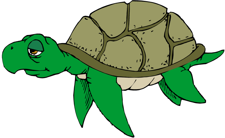 Free Sea Turtle Clip Art 