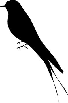 Silhouette Bird 