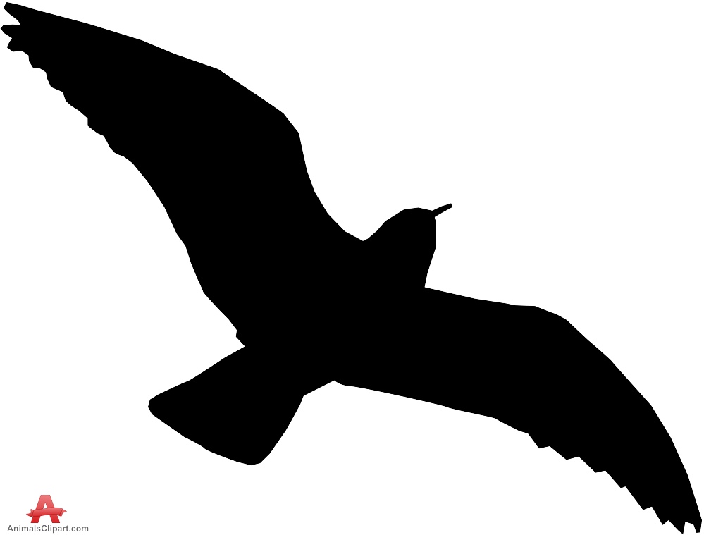 Gull Bird Silhouette 