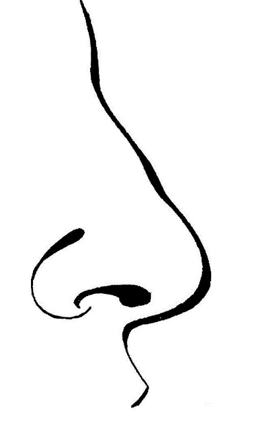 Image result for clip art nose black and white