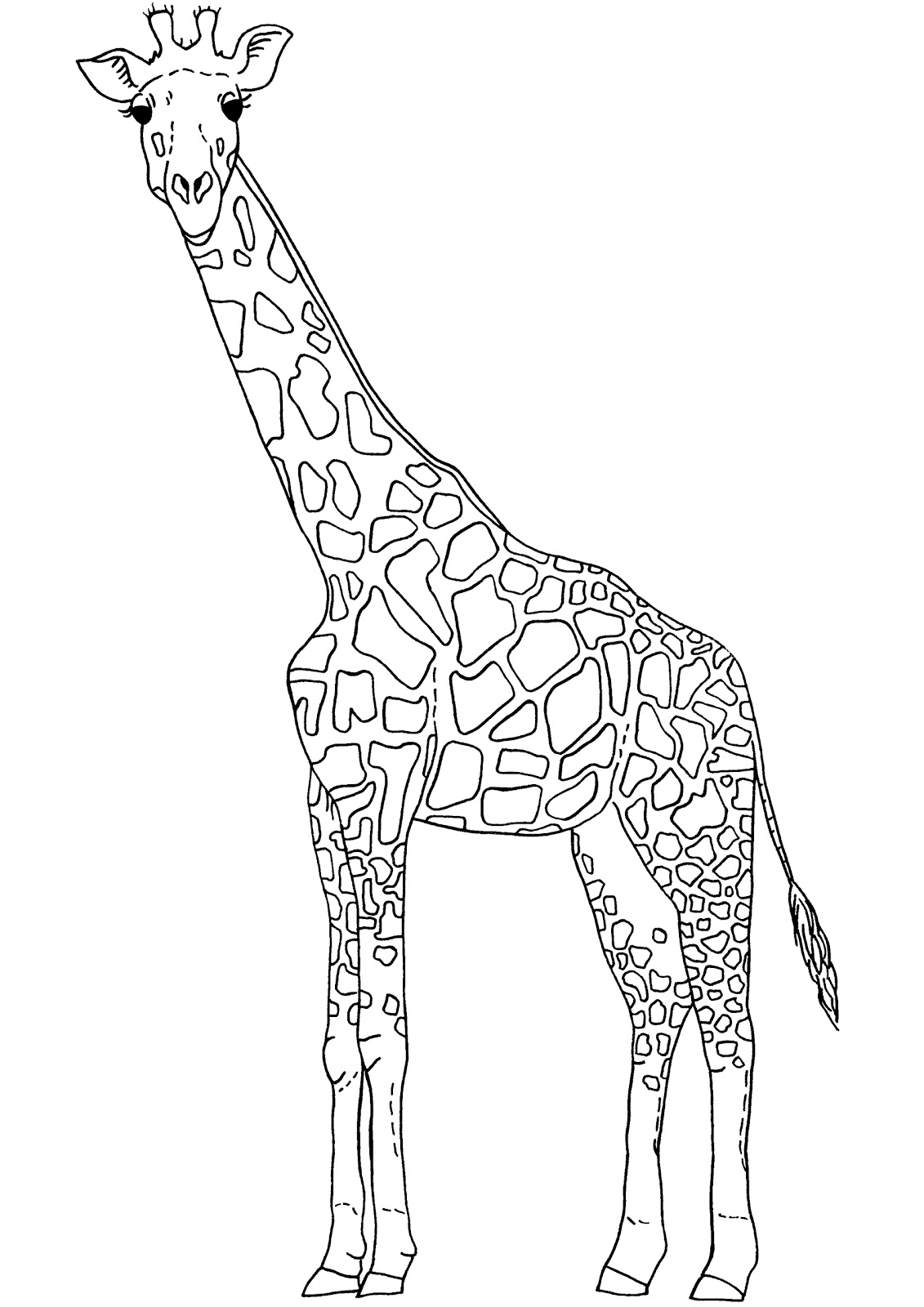 girrafe giraffe clipart black and white - Clip Art Library