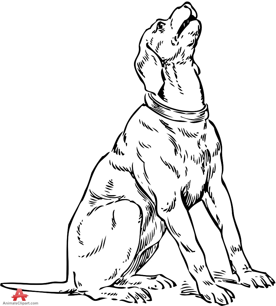 Labrador Dog Sitting Drawing Sketch Coloring Page