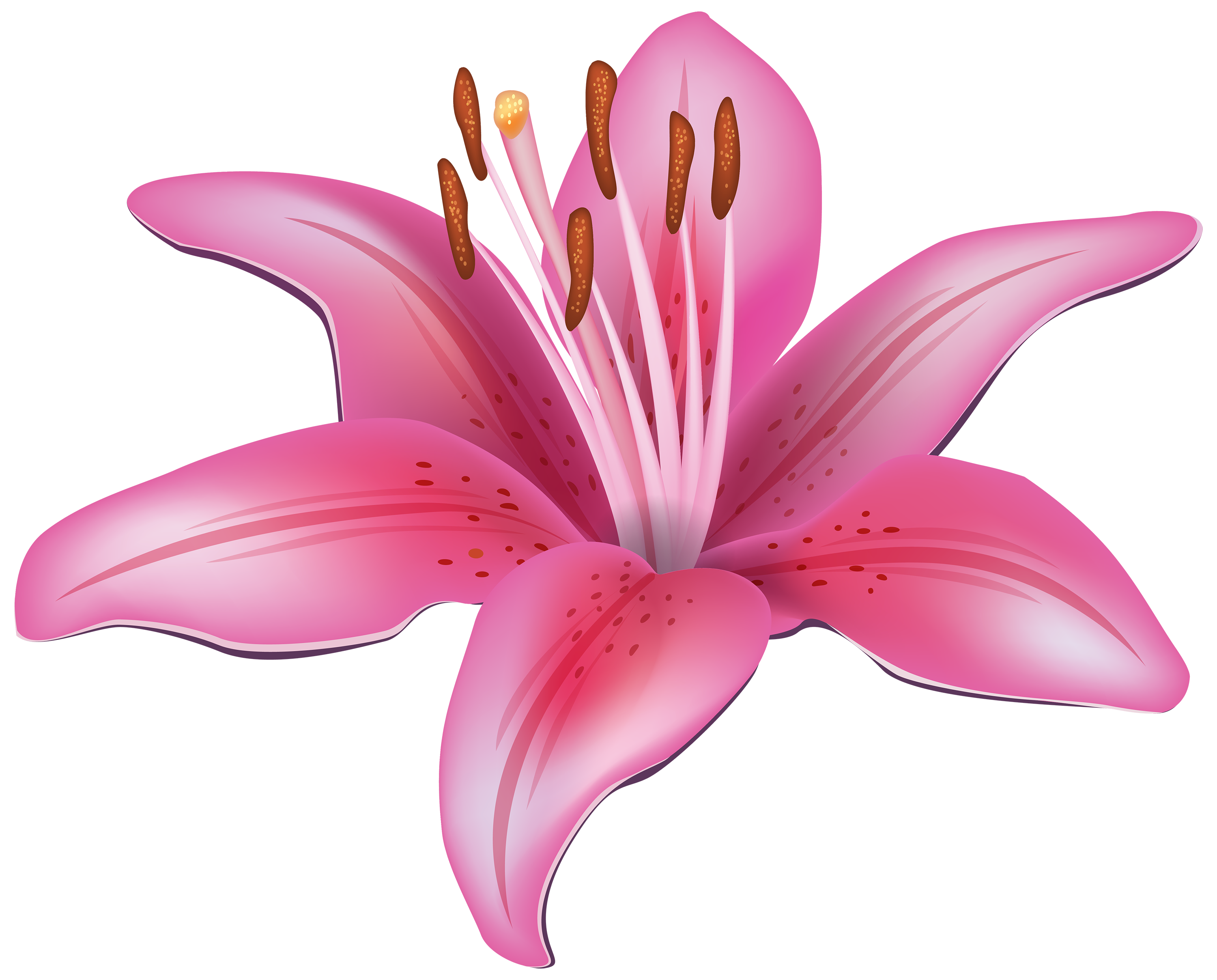 Lily flower clip art free