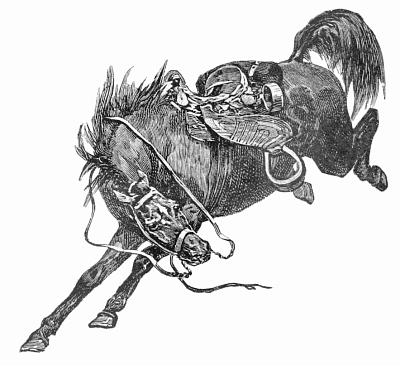 Bucking Horse Image