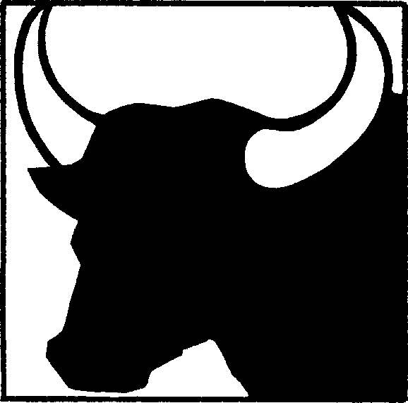 Show Steer Clipart