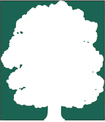 Free tree clip art border