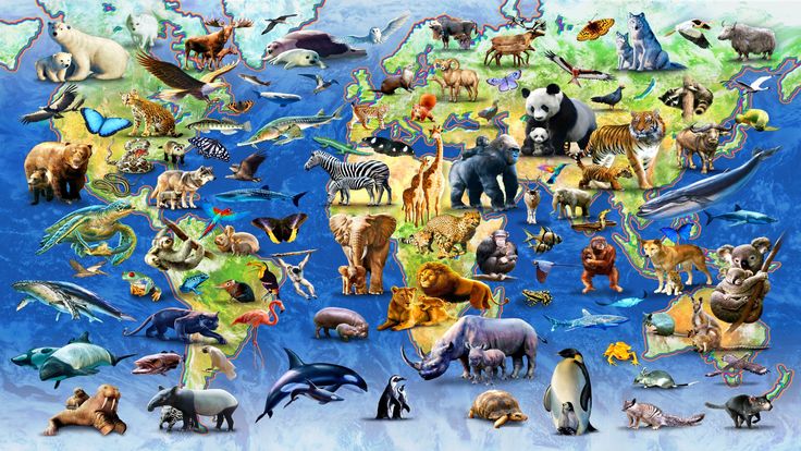 HD jpeg Map of endangered species