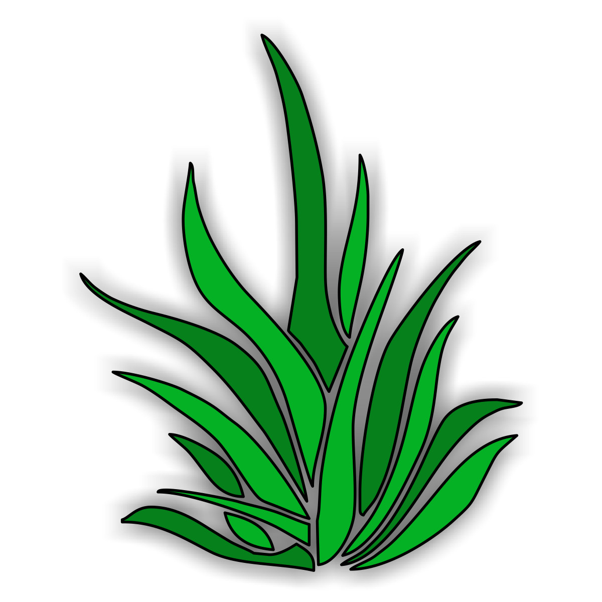 Free Ocean Algae Cliparts, Download Free Ocean Algae Cliparts png