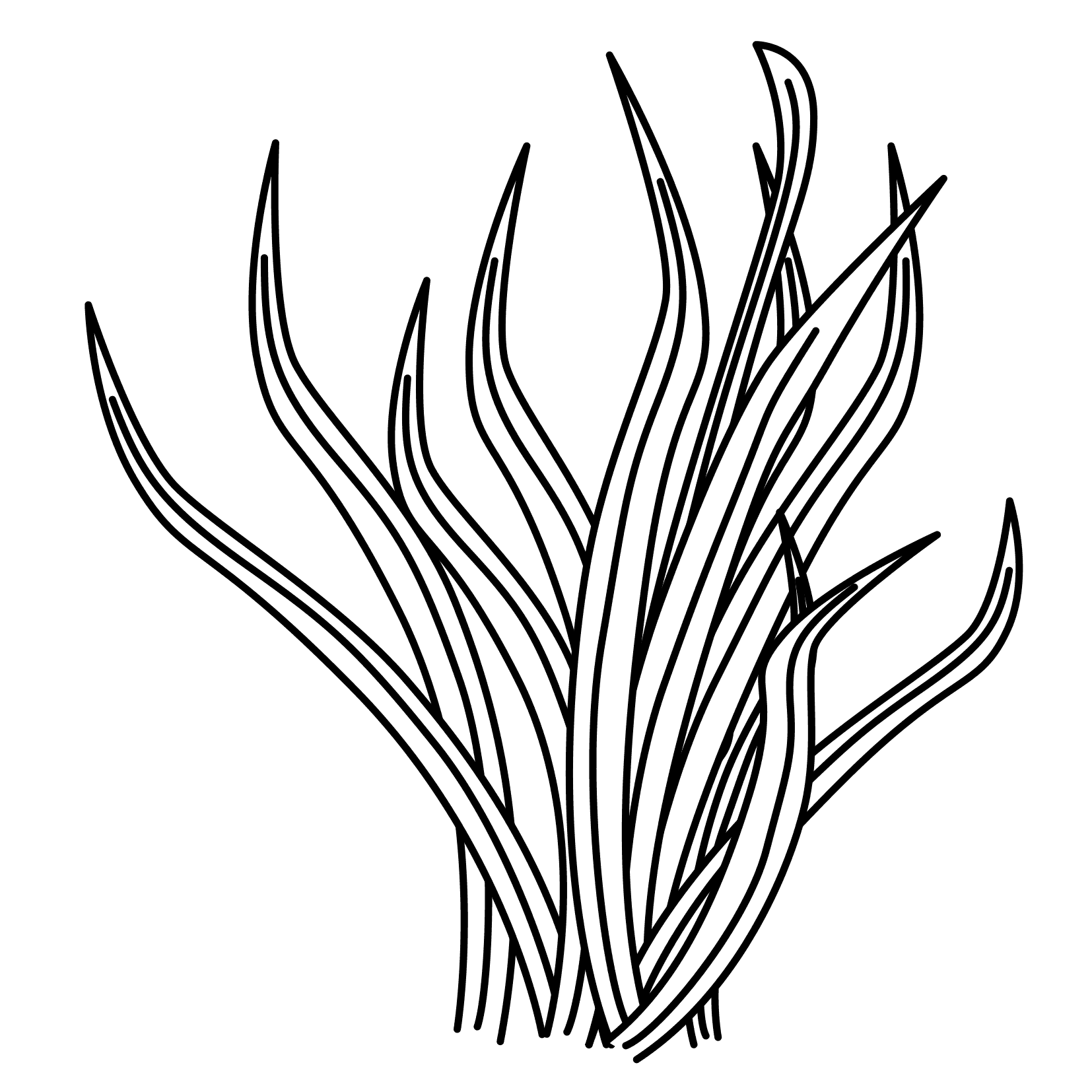 sea-plants-coloring-pages-clip-art-library
