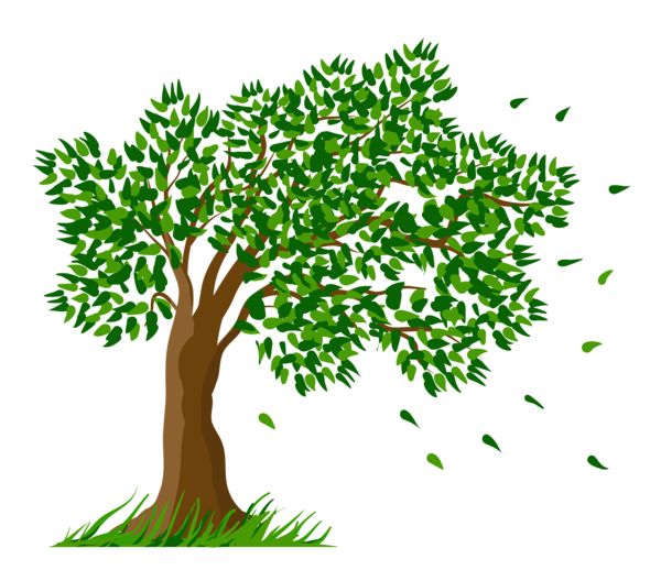 Spring tree clipart transparent