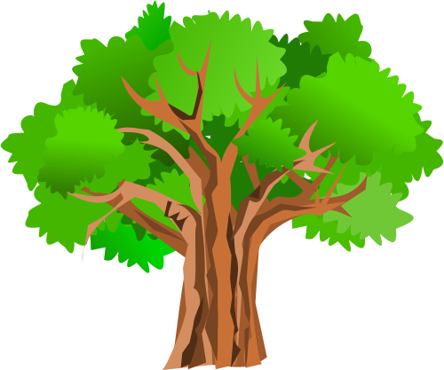 Transparent clipart bear climbing tree