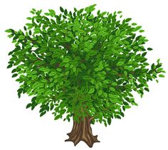 Green Tree Transparent Clipart Picture