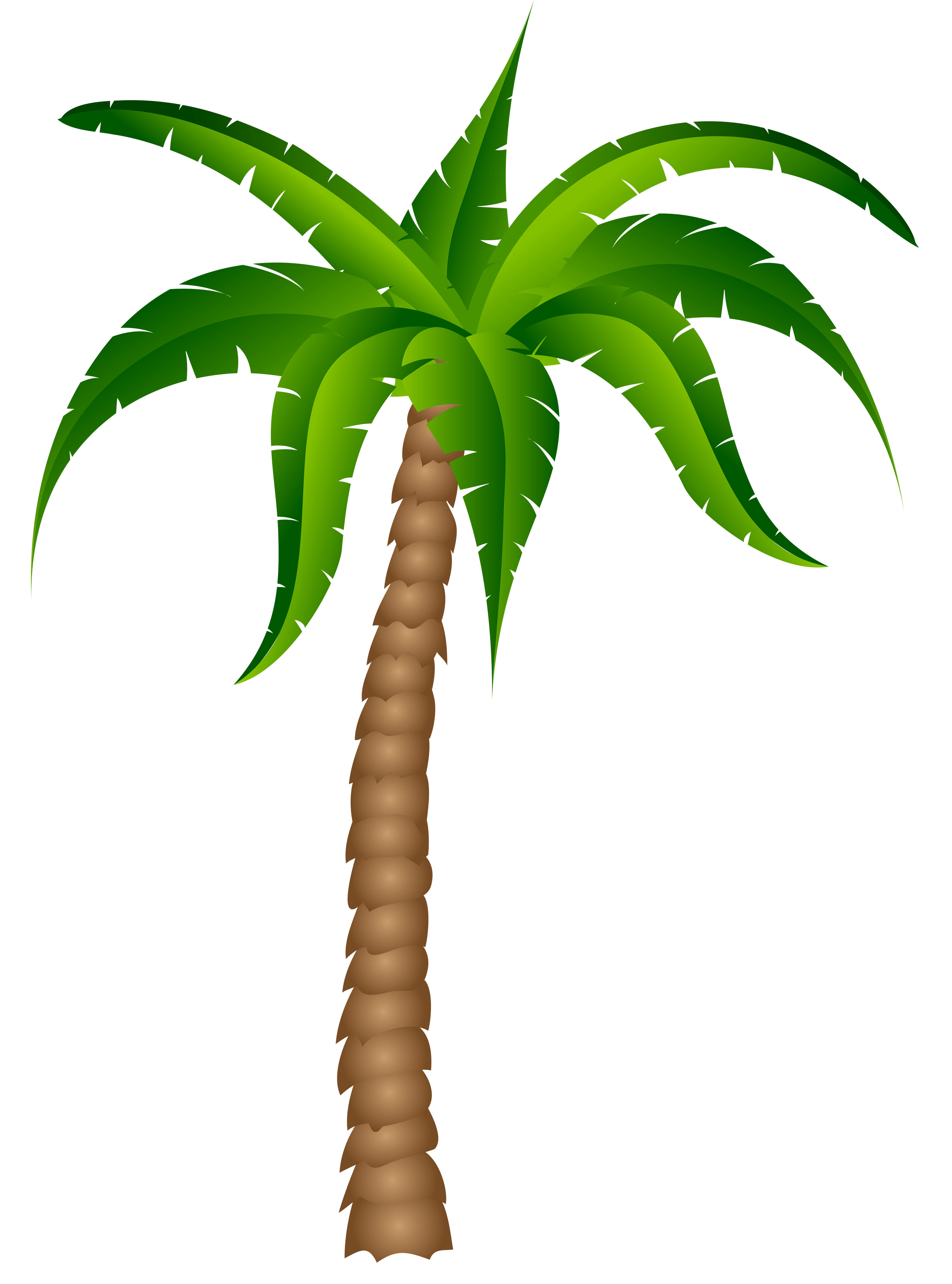 Palm trees and surfboard transparent background clipart