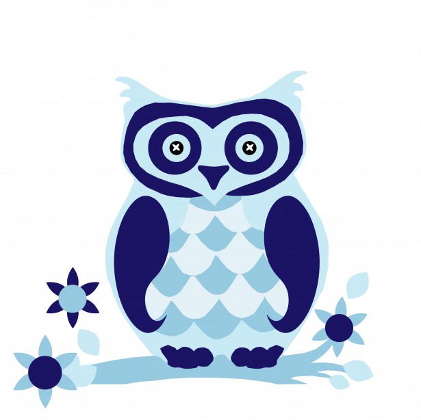 Cute Blue Owls