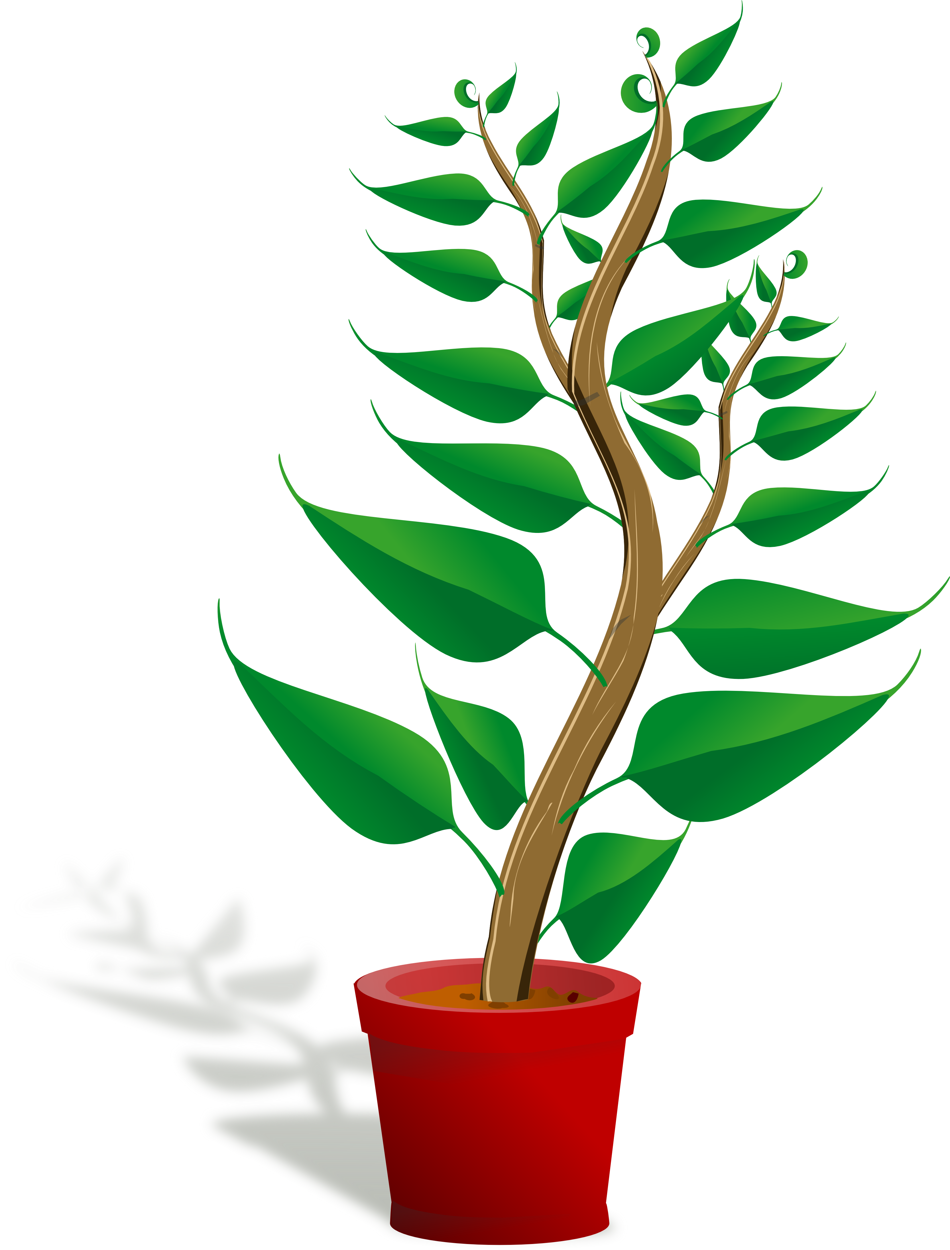 Houseplant Tree Potted plants png download 750*750 Free