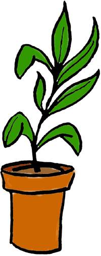 Cartoon Plant Growing In Plant Pot